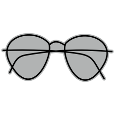 Line Sunglasses