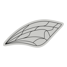 Line Bug Wing
