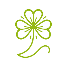 Clove