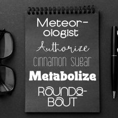 Little Black Book Font Bundle