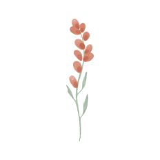 Little Flower