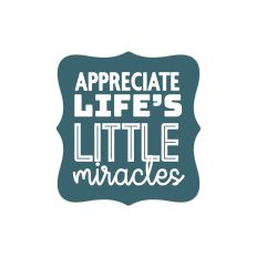 Little Miracles