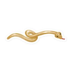 Little Snake