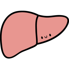 kawaii liver