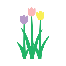 Long Stemmed Tulip Trio Spring Flowers