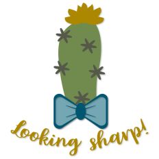 Looking Sharp, Cactus Wearing A Bow Tie