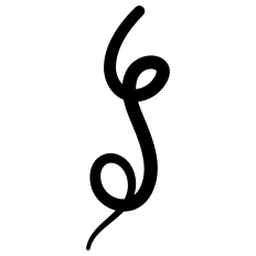 Loop Flourish