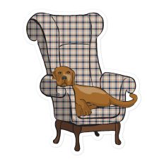 Lounging Pup