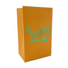 Lucky St. Patrick's Day Paper Gift Bag