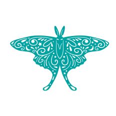Luna Moth