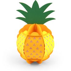 3D Pineapple