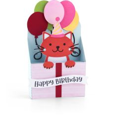 5x7 Box Card Happy Birthday Cat