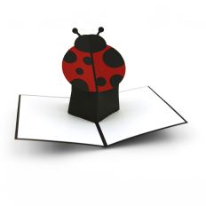 5x7 Super Pop Up Card Ladybug
