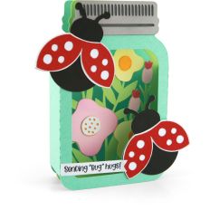 Box Card Mason Jar Ladybug 2