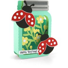 Box Card Mason Jar Ladybug