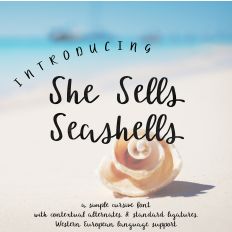 She Sells Seashells Script Font