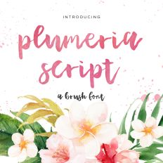 Plumeria Brush Font