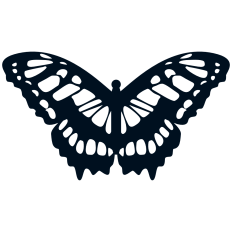 Malachite Butterfly