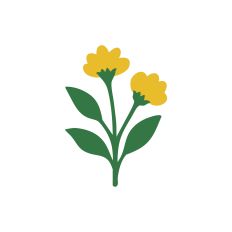 The Floral Collection - Marigold