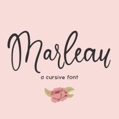Marleau Script Font