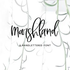 Marshland Script Font