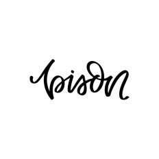 Bison