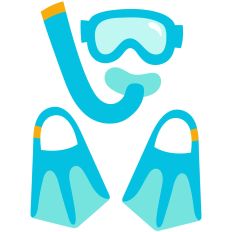 Mask, Snorkle, and Fins