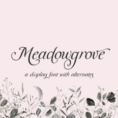 Meadowgrove Display Font - Script Font