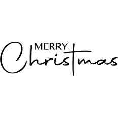 merry christmas elegant text