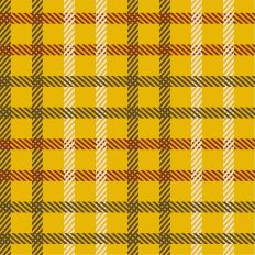 Flannel  Back To School