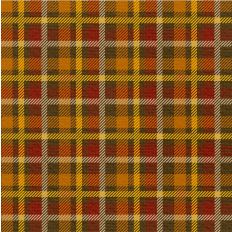 Fall Flannel - Cozy