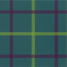 Fall Flannel - Fall Fashion Large