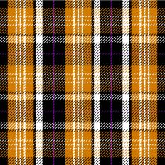 Halloween Plaid - Hocus Pocus