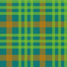 Halloween Plaid - Potion Plaid