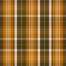Fall Flannel - Pumpkin Patch