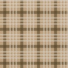 Fall Flannel - Rain Coat