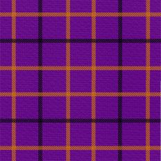 Halloween Plaid - Witch Way