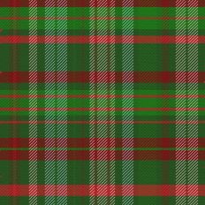 Sleigh Ride Plaid - Christmas Morning