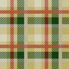 Sleigh Ride Plaid - Classic Cozy