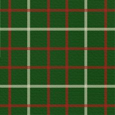 Sleigh Ride Plaid - Evergreen
