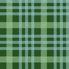 Sleigh Ride Plaid - Icy Evergreen