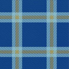 Sleigh Ride Plaid -Latkes Lrg.