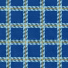 Sleigh Ride Plaid -Latkes