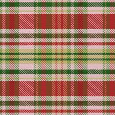 Sleigh Ride Plaid - Poinsettia Lrg