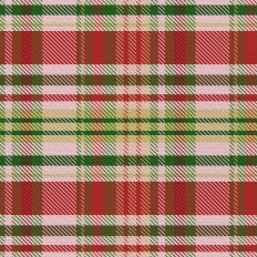 Sleigh Ride Plaid - Poinsettia Lrg