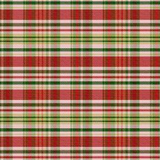 Sleigh Ride Plaid - Poinsettia