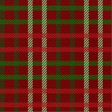 Sleigh Ride Plaid - Woolen Mittens