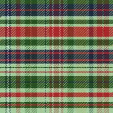 Sleigh Ride Plaid - Yule