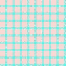 Spring Fling Plaid - Baby Mine