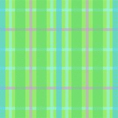 Spring Fling Plaid - New Leaf